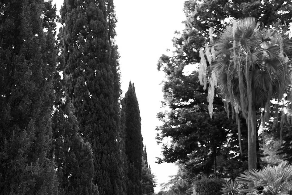 Tuscany wedding
