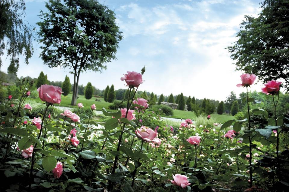 Veduta del parco in primavera