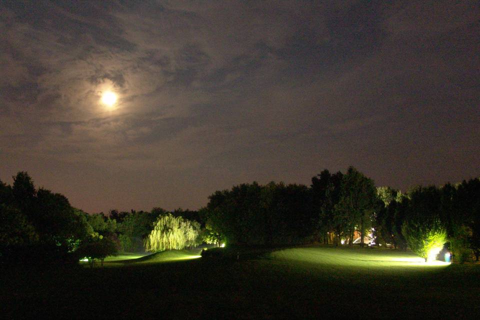 Parco di sera