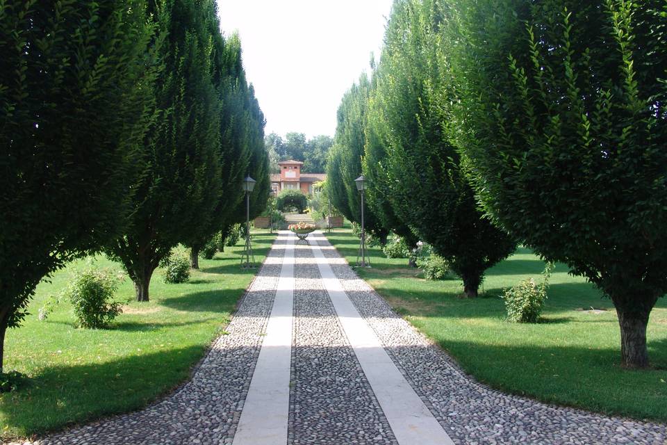 Viale dei carpini