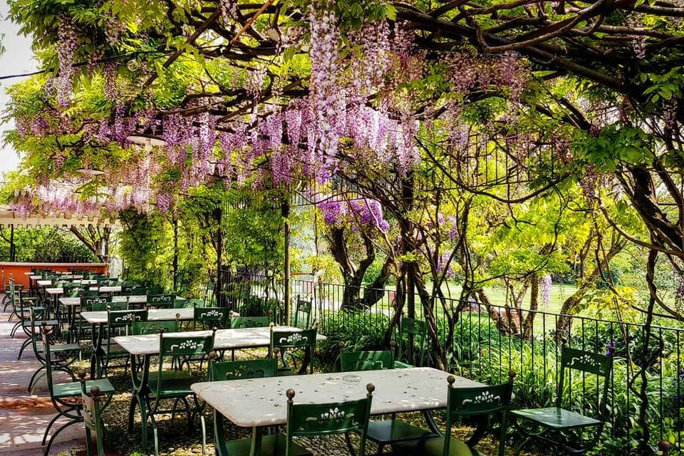 Terrazza del celtis