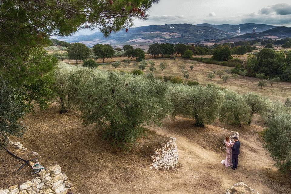 Matrimonio volterra