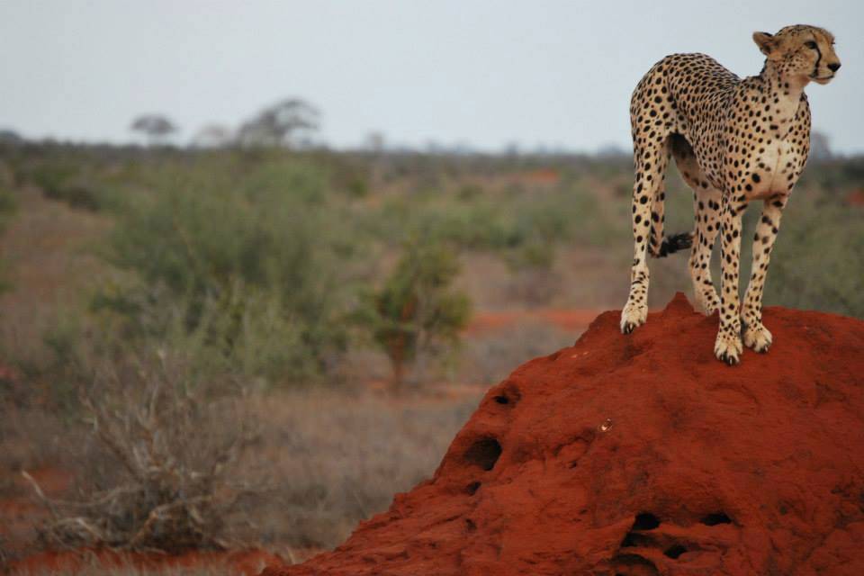 Masai Viaggiare