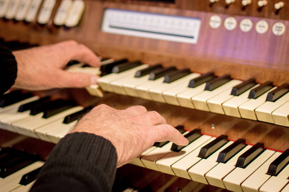 Sergio Reitano Organista