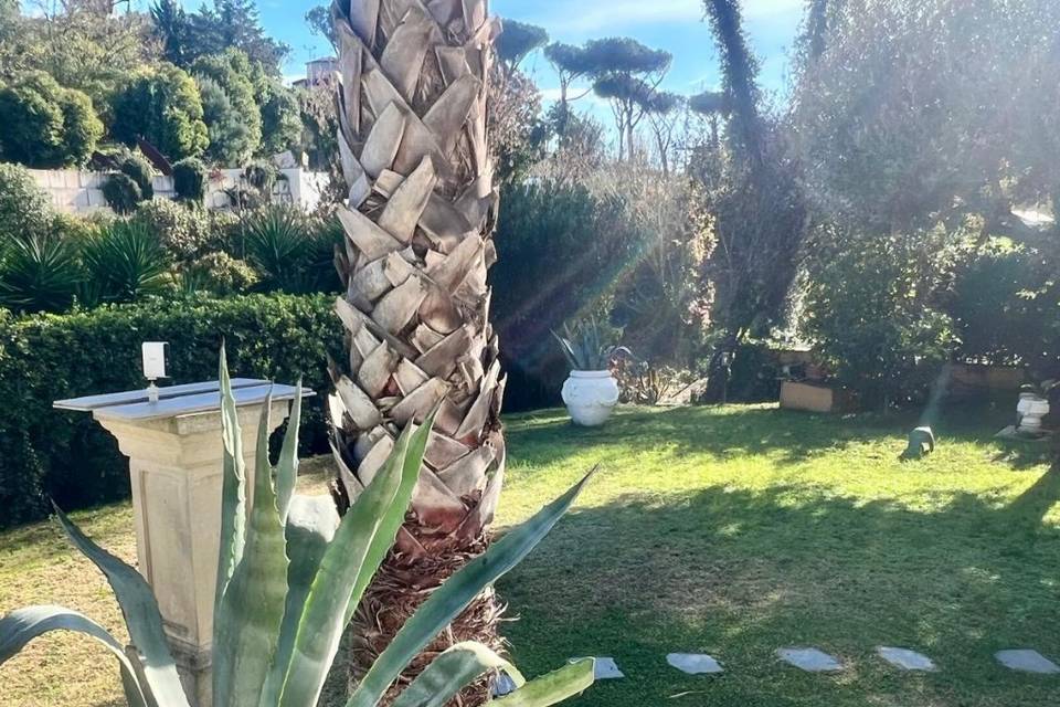 Giardino