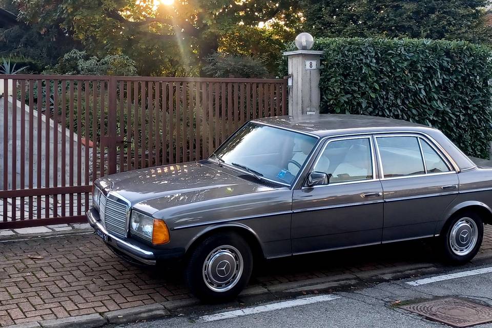 Mercedes W123