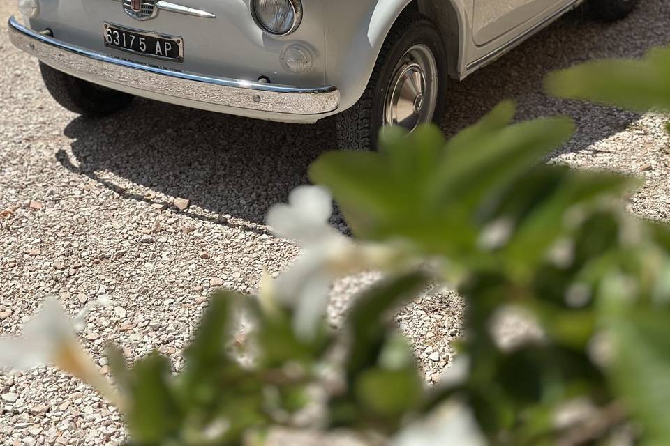 Fiat 500 - Cupra Marittima