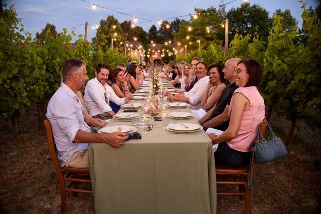Convivialità in vigna