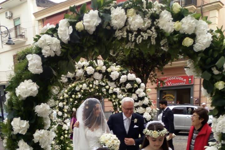 L'Orchidea di Giovanni Carfora