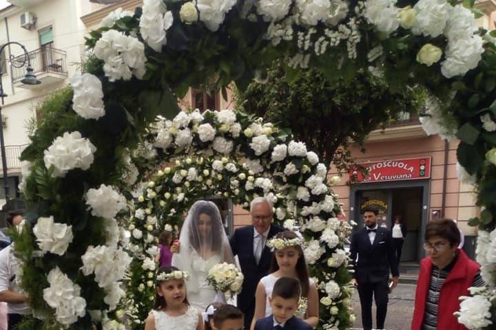 L'Orchidea di Giovanni Carfora