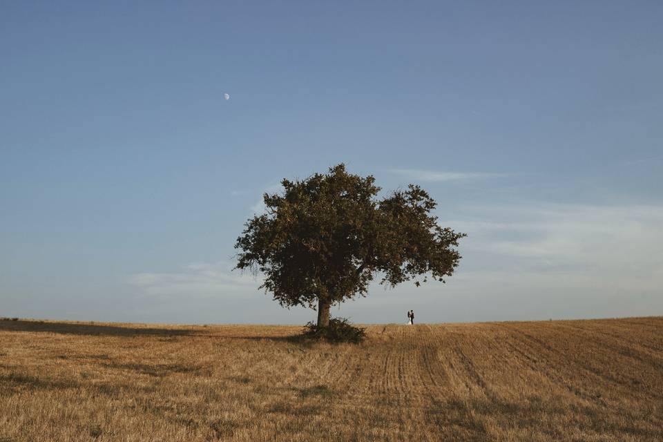 Giacomo Terracciano Photographer