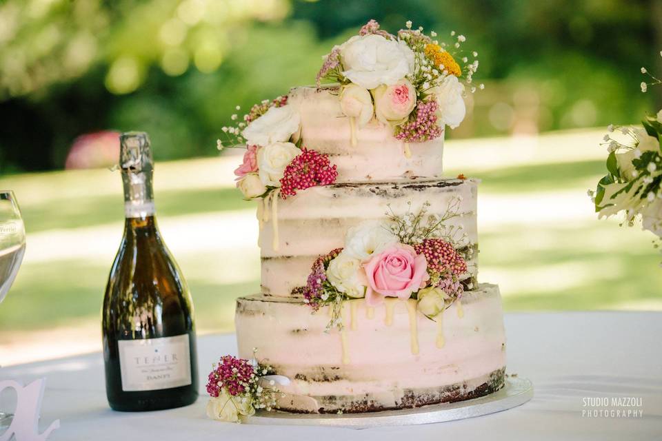 Semi naked cake