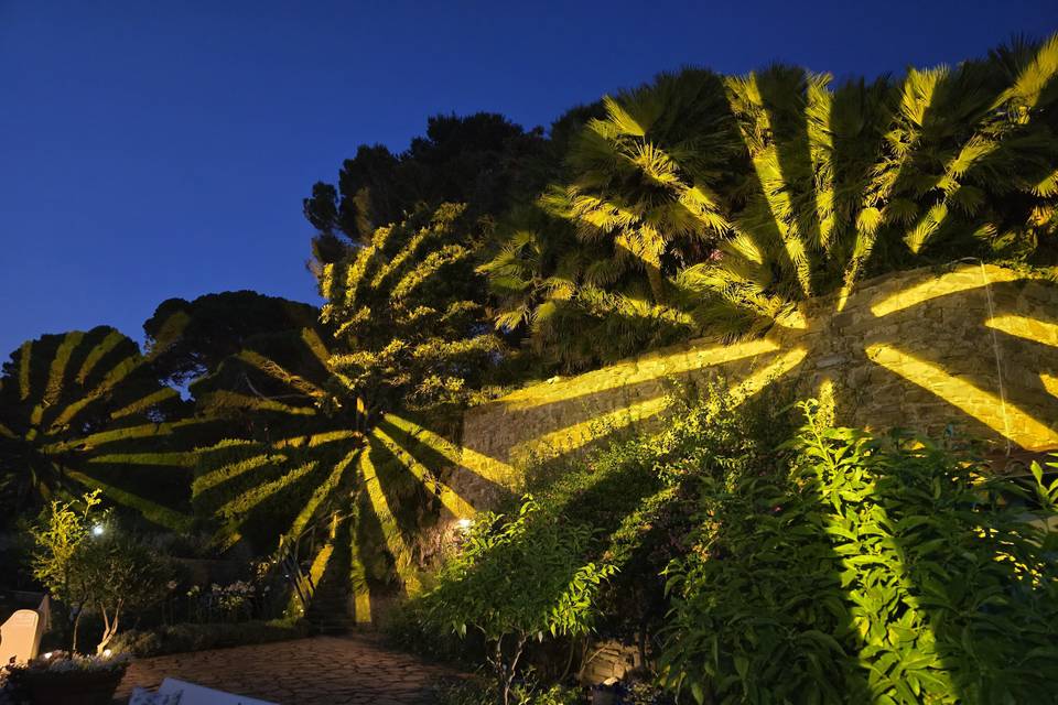Luci pronti per ballare
