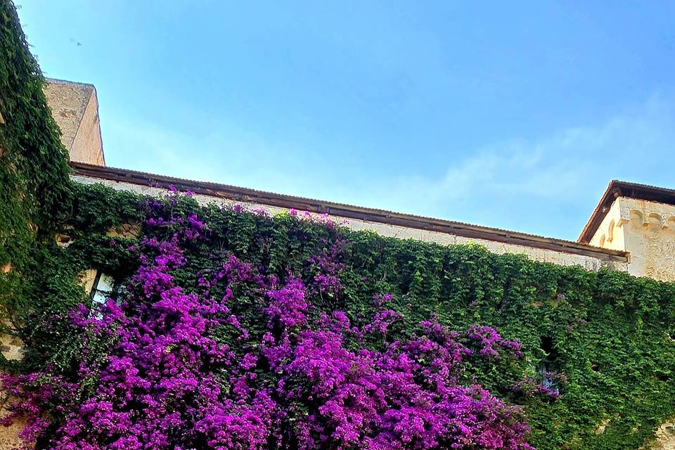 Rito in cortile