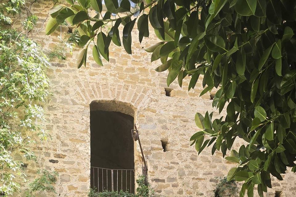 Rito nel cortile