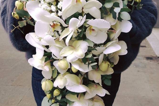 Bouquet con orchidea