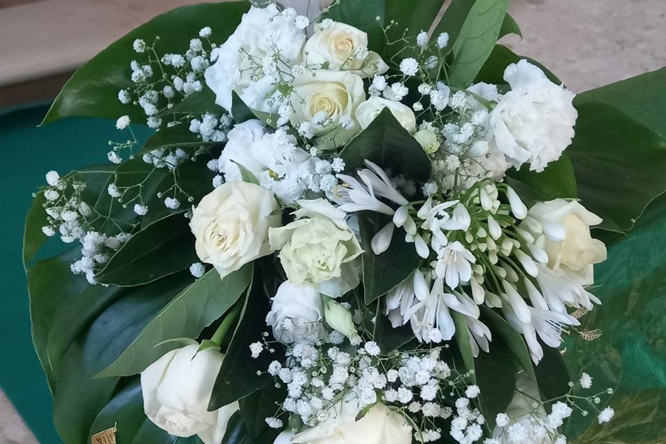Fiori bianchi