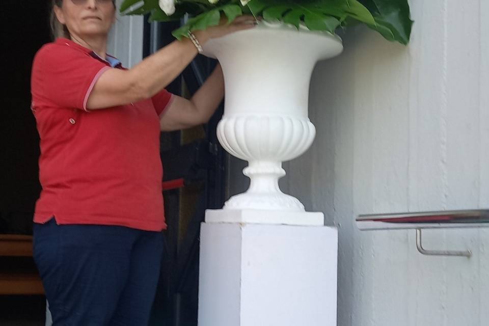 Fiori bianchi