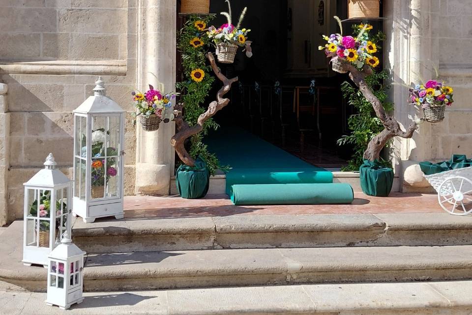 Fiori colorati