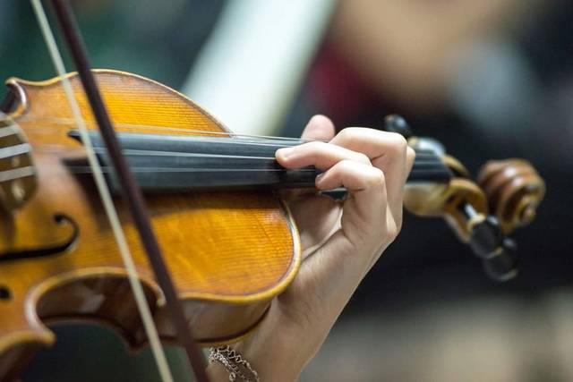 Violino