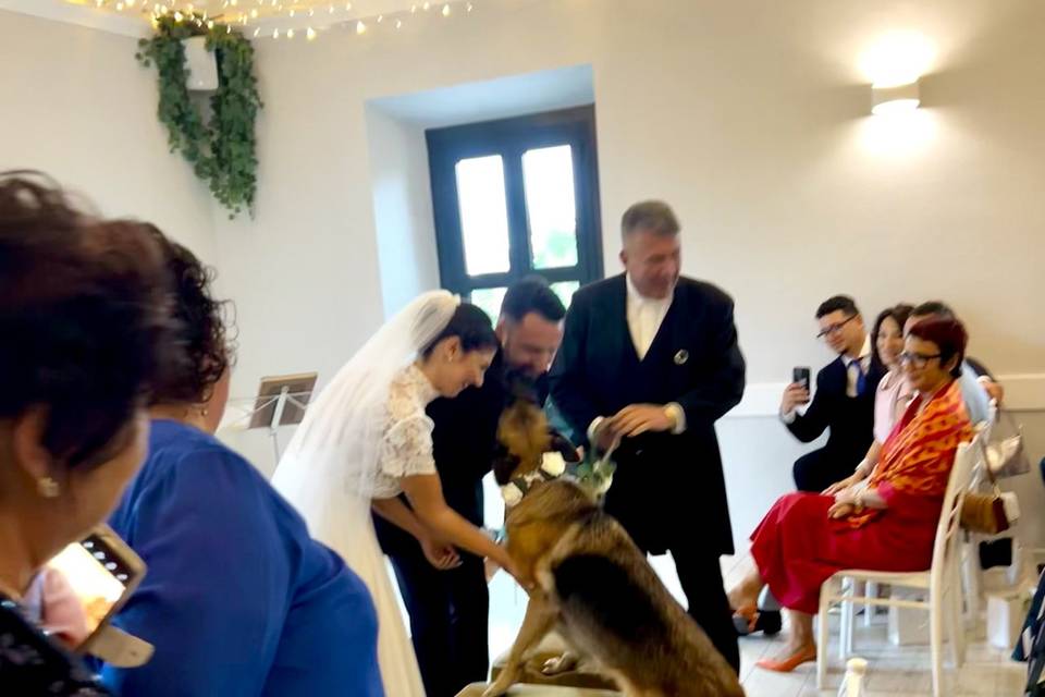 Laika porta le fedi