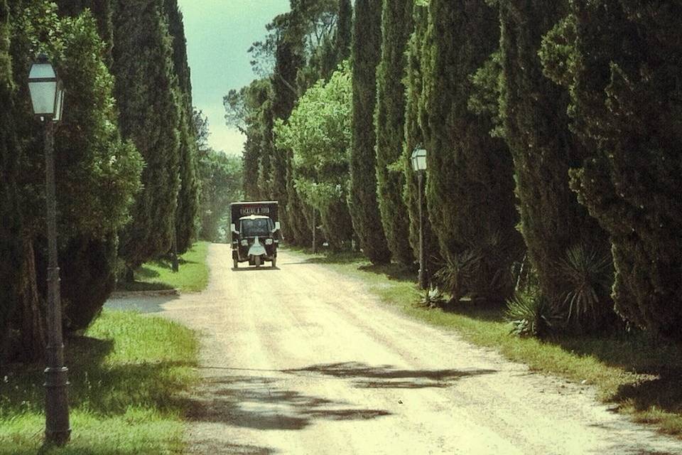 Arrivo in una reggia