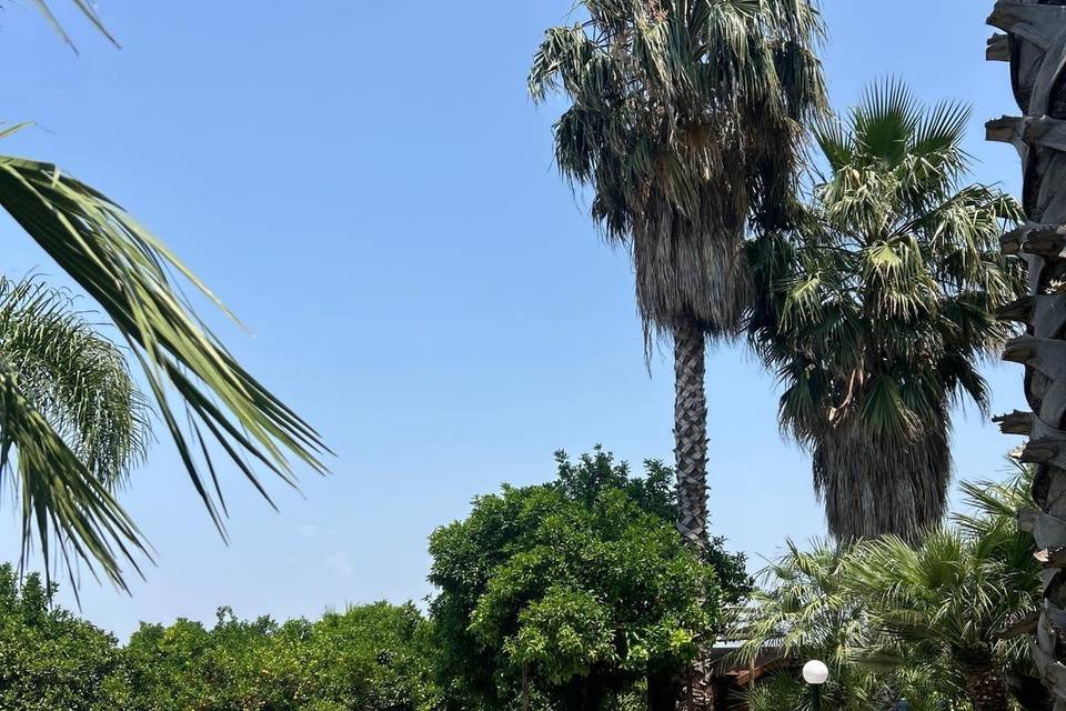 La piscina