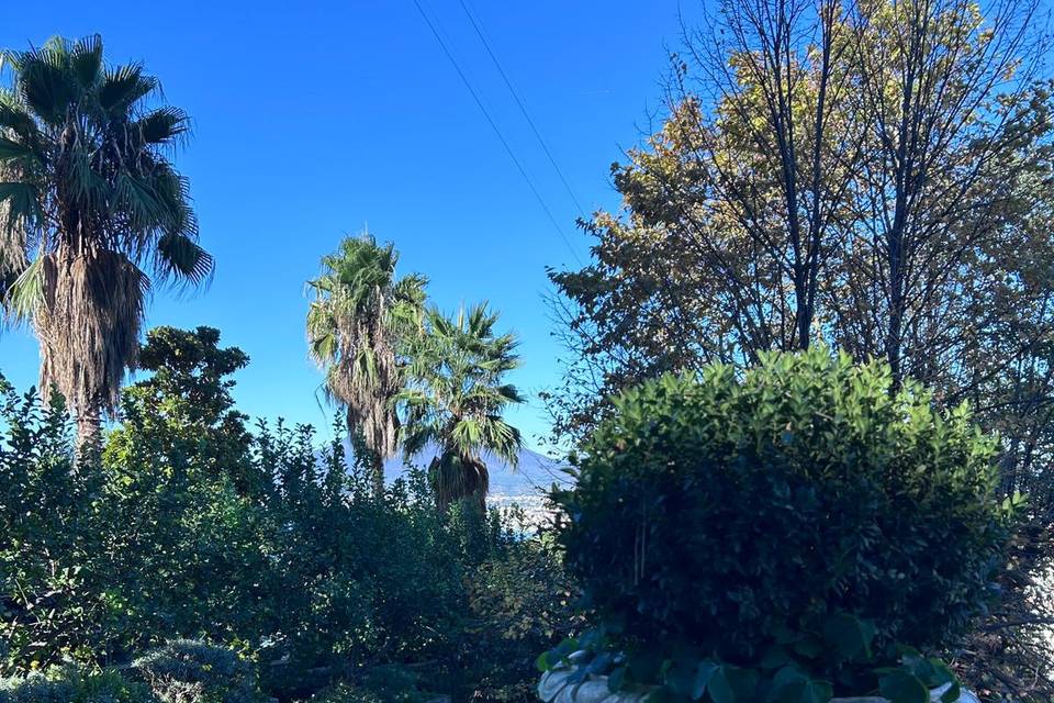 Il giardino