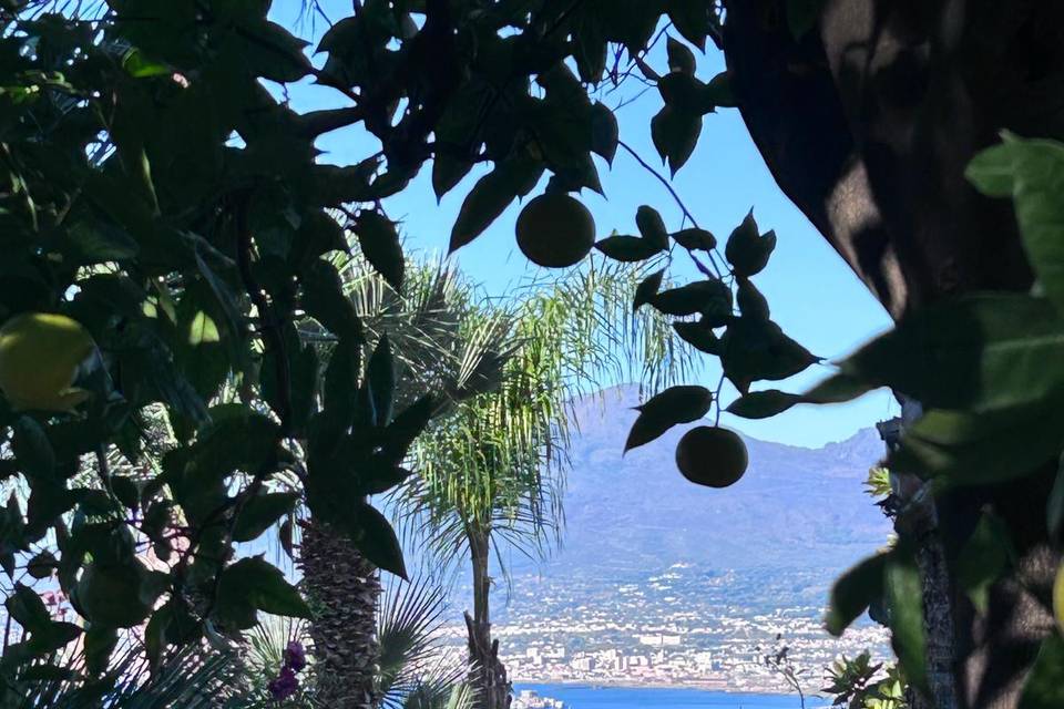 Dalle terrazze