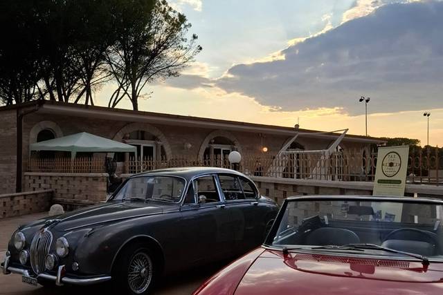Alfa Romeo Spider