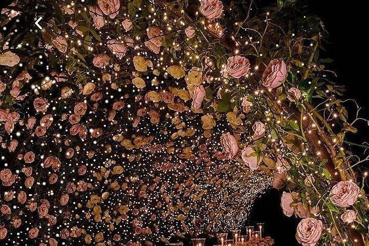 “Profumo di rose e promesse et