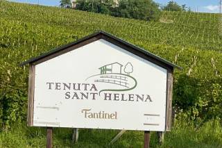 Tenuta Sant Helena