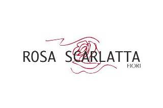 Rosa Scarlatta