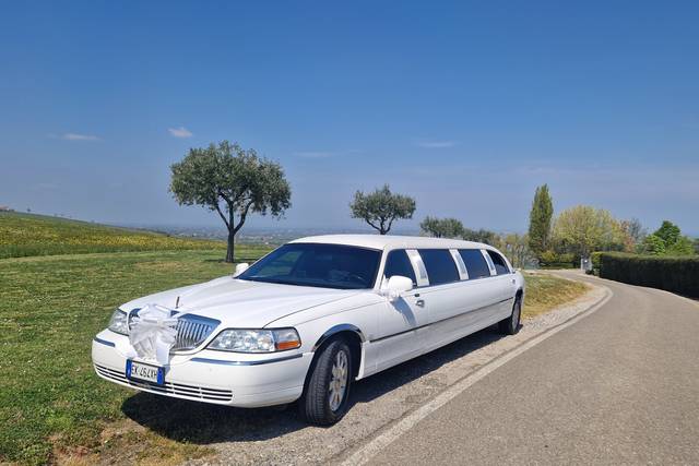 Speedy Limousine