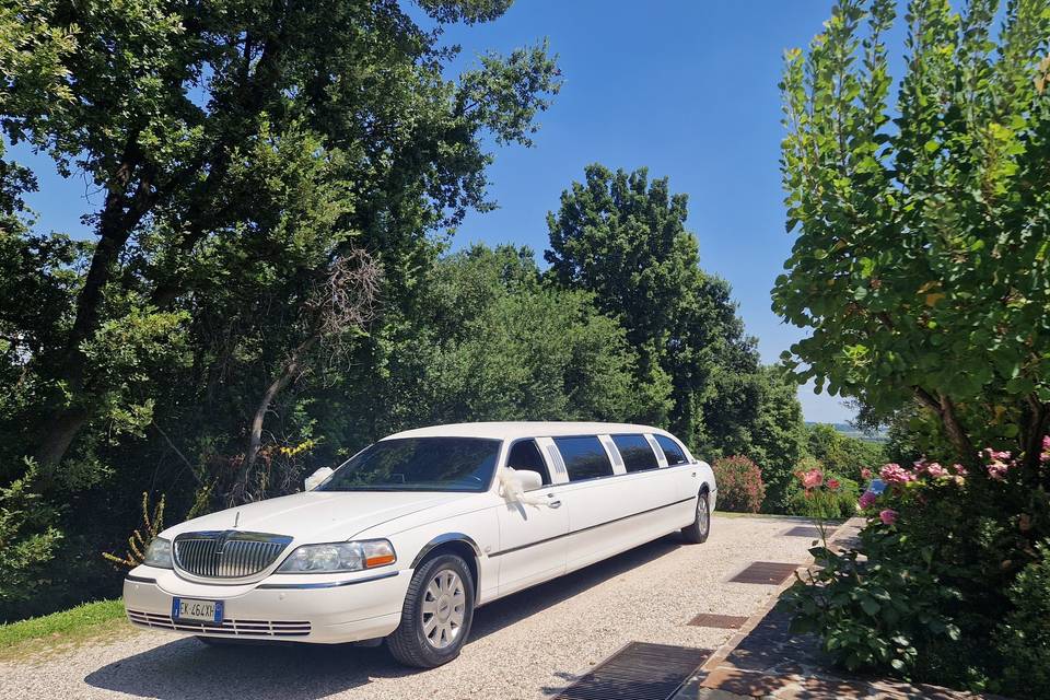 Speedy Limousine