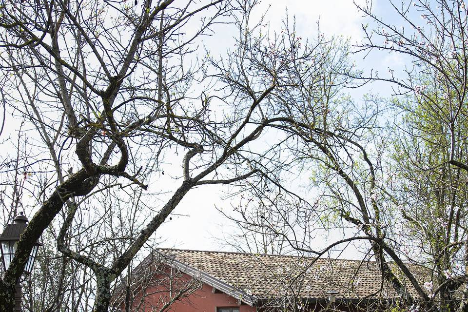 Agriturismo