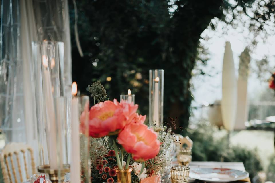 Caterina Gramitto Ricci