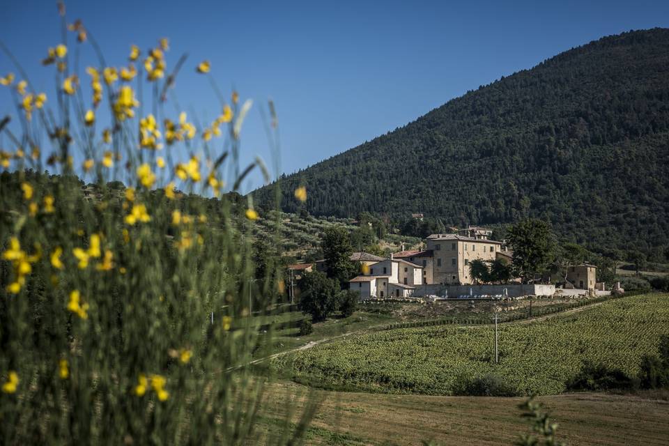 Cerimonia Civile in giardino