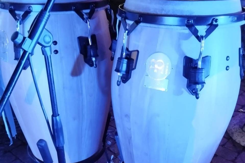 Congas live