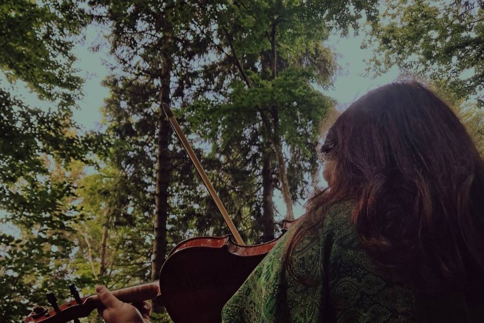 Musica celtica boschi