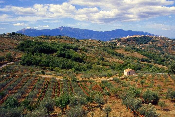 Agriturismo Villa Vea