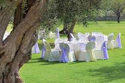 Manuela Lesignoli Wedding and Event Planner