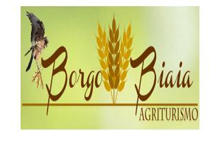 Agriturismo Borgo Biaia logo