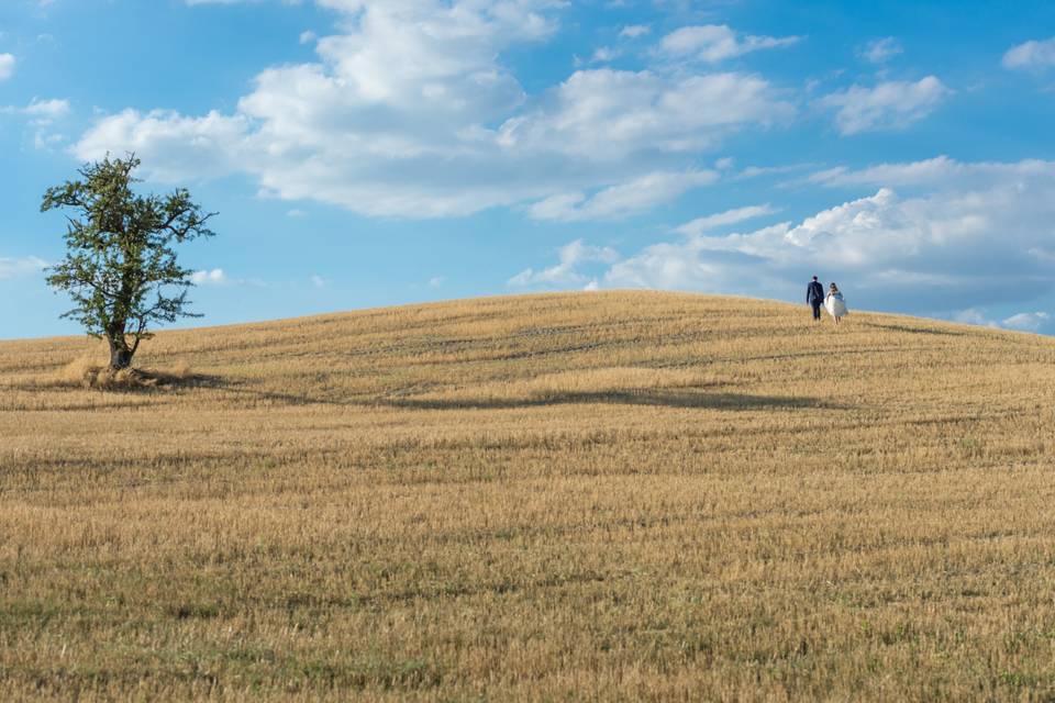 Valdorcia