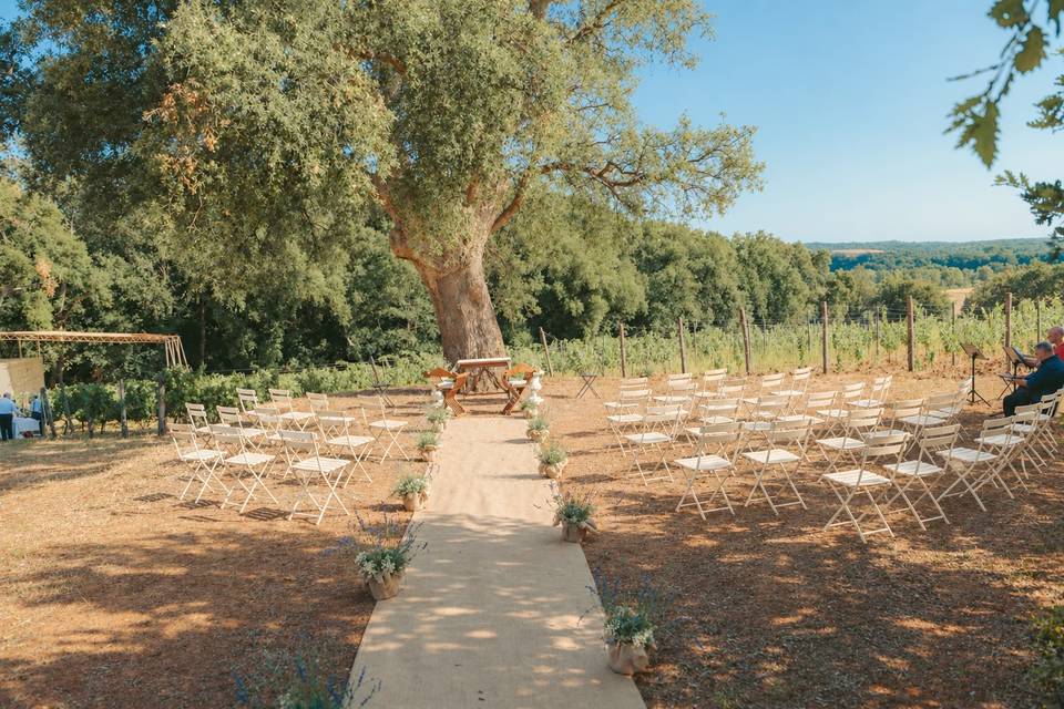 La quercia