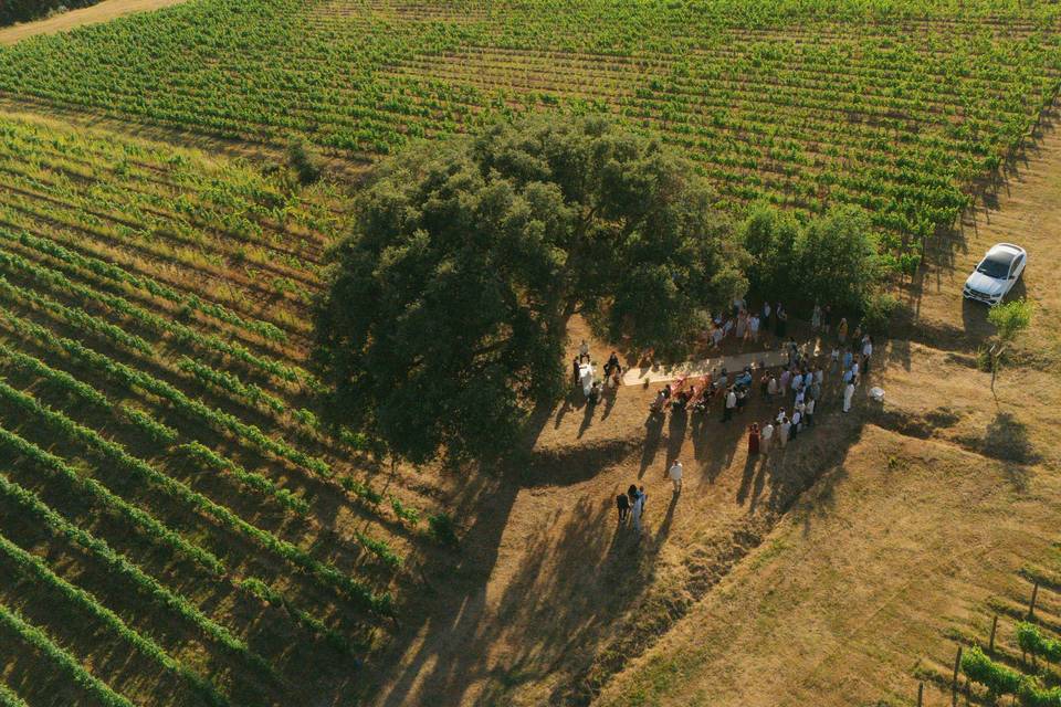 Podere La Regola