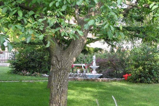 Giardino con fontana