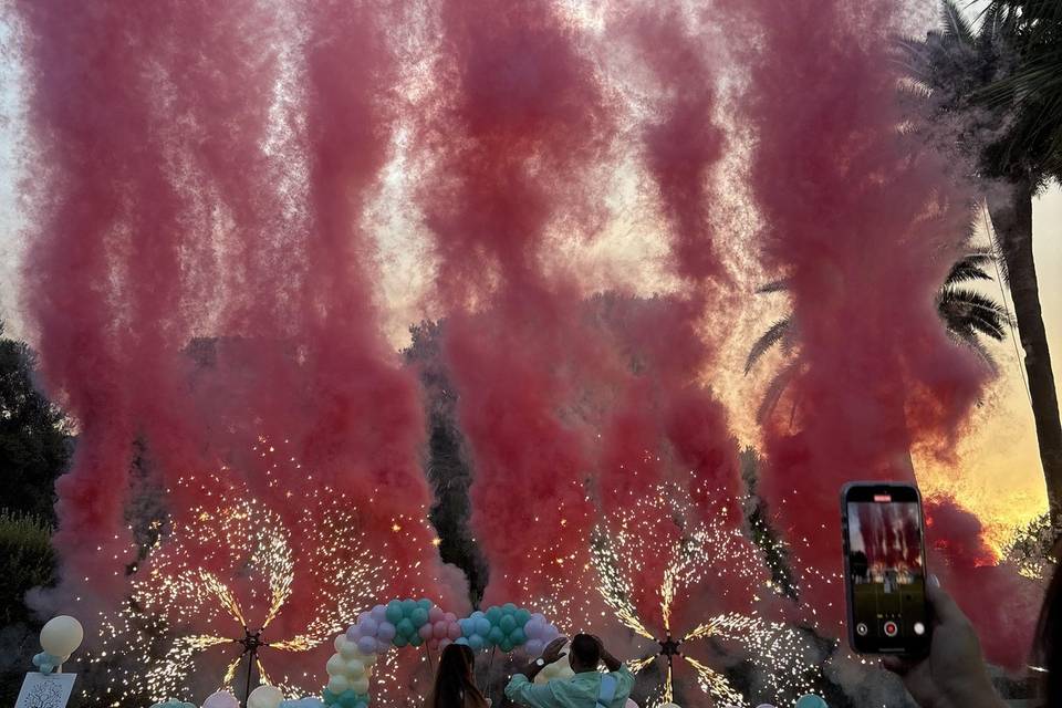 Gender reveal