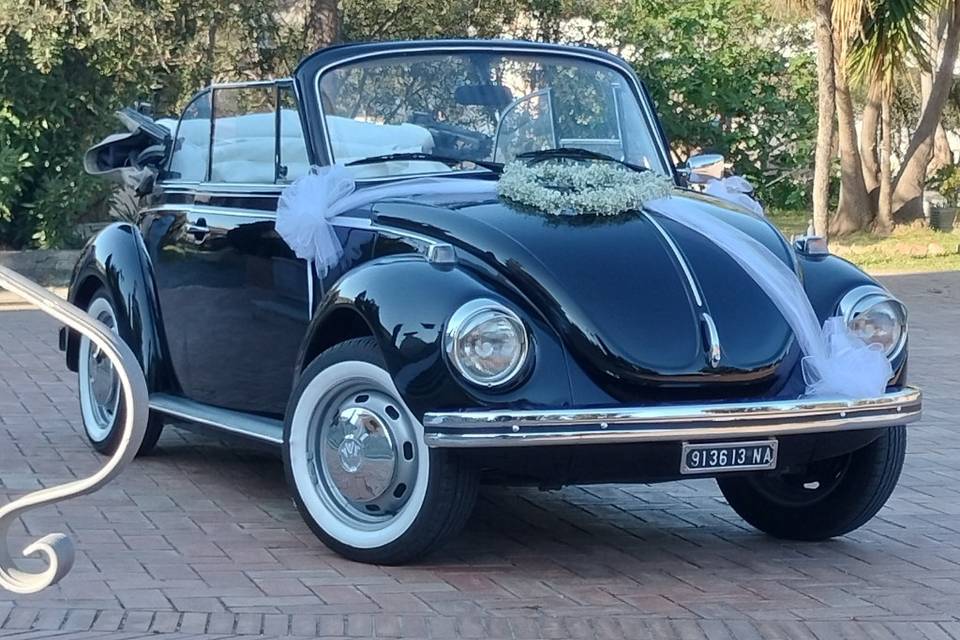 Noleggia la tua auto