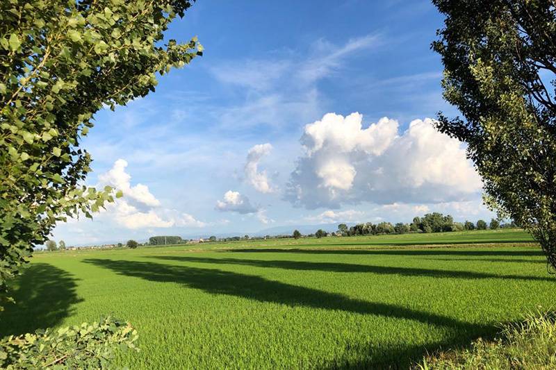 La vista